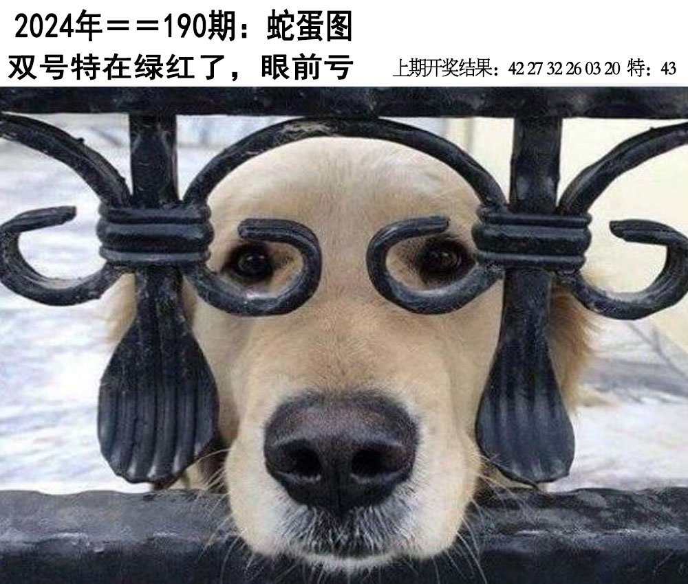 2024190期另版蛇蛋图