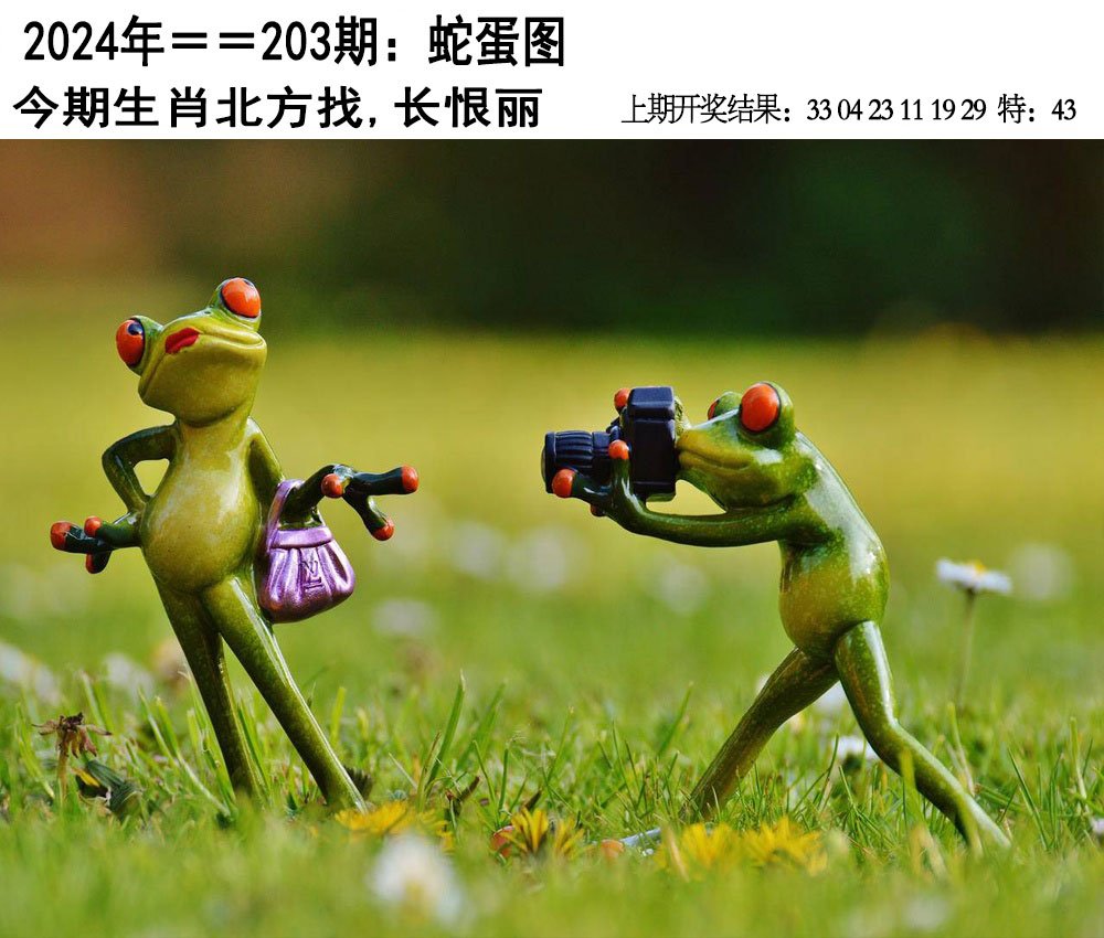 2024203期另版蛇蛋图