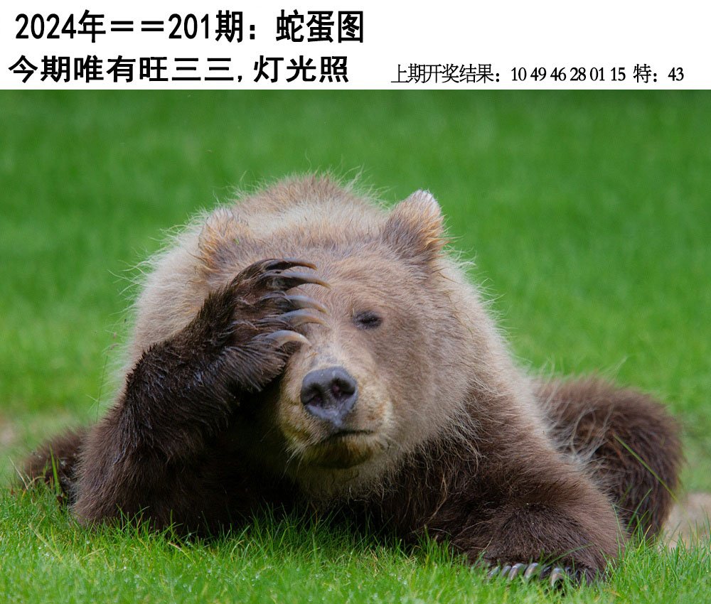 2024201期另版蛇蛋图