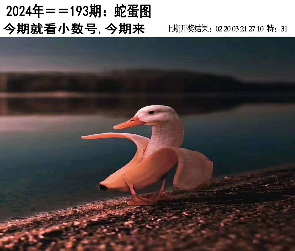 2024193期另版蛇蛋图