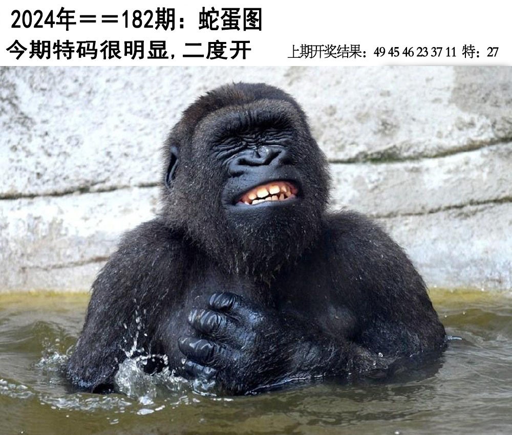 2024182期另版蛇蛋图