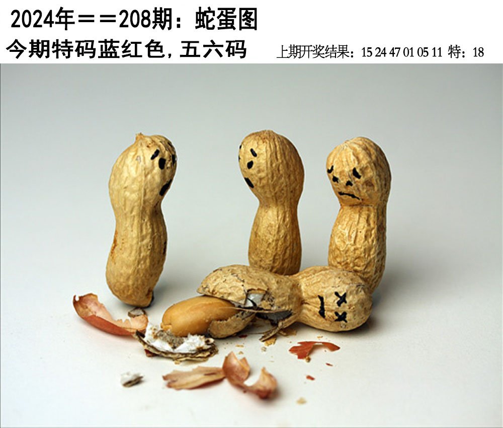 2024208期另版蛇蛋图
