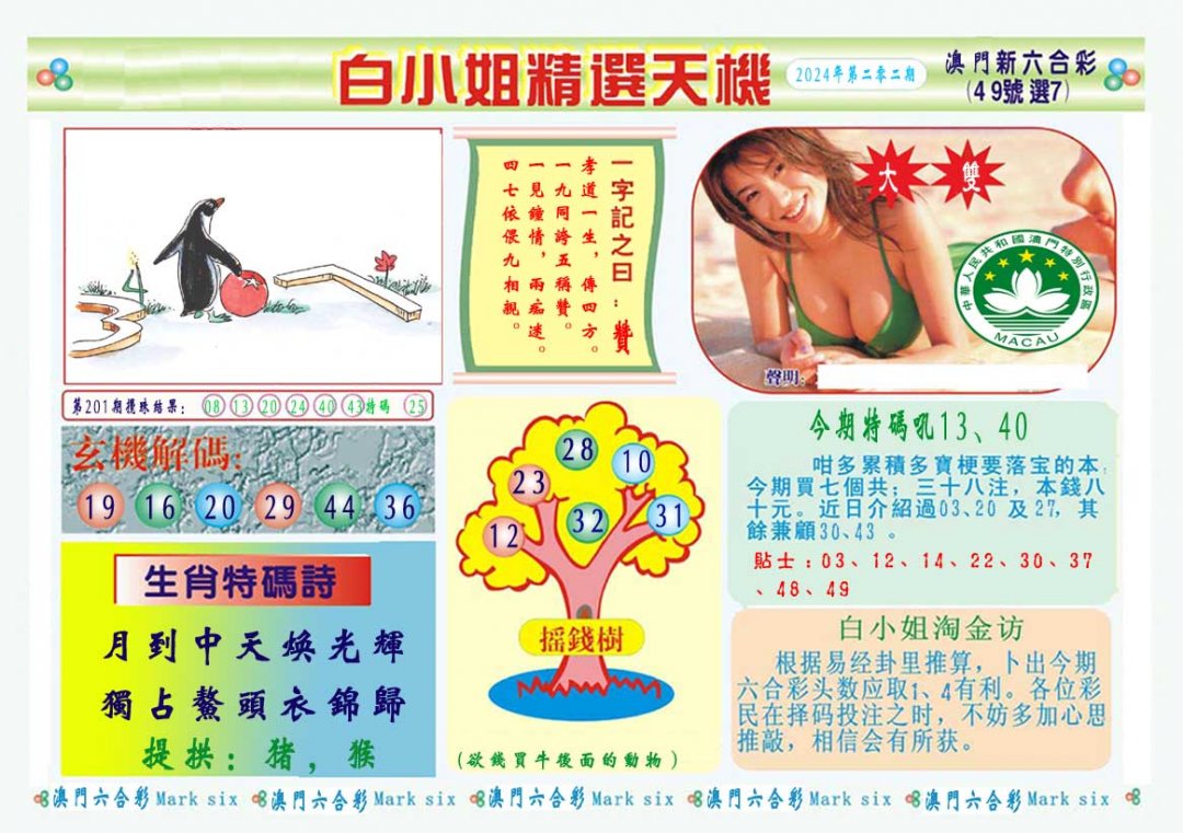 2024202期白小姐精选玄机A