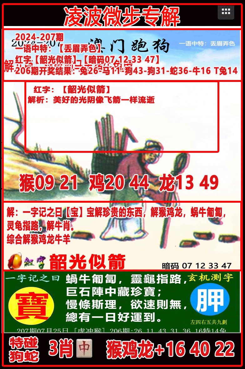 2024207期凌波微步