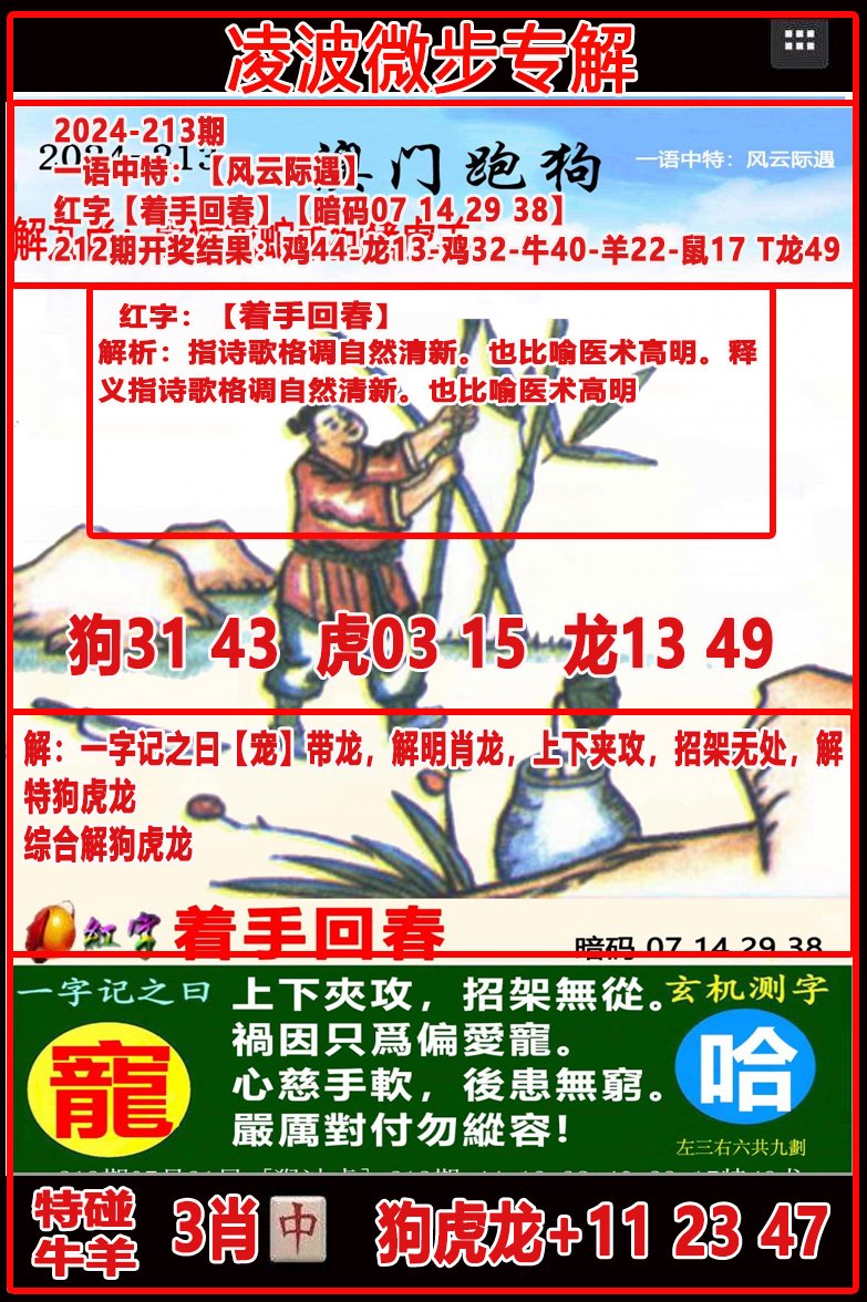 2024213期凌波微步