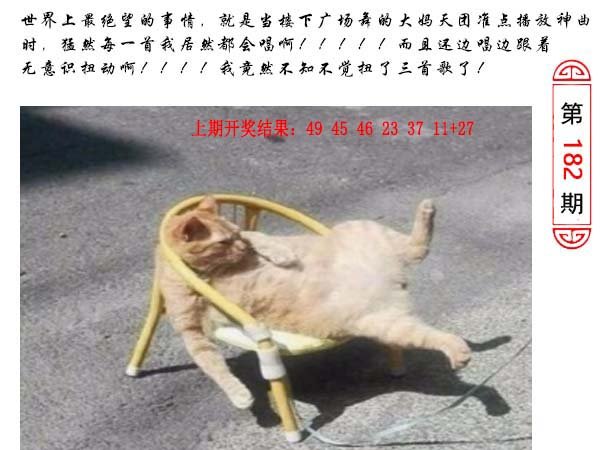 2024182期澳门生活幽默