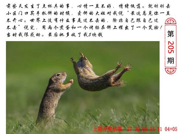 2024205期澳门生活幽默