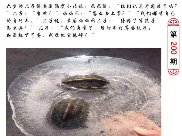2024200期澳门生活幽默