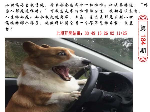 2024184期澳门生活幽默