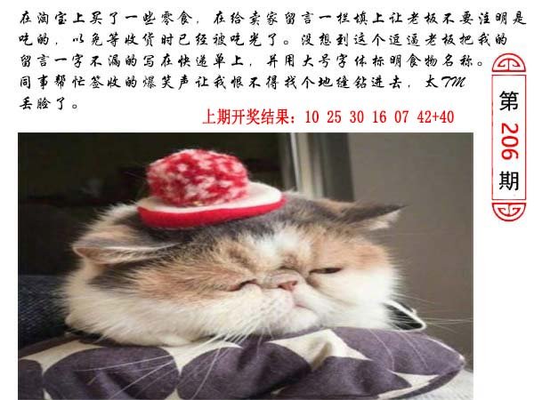 2024206期澳门生活幽默