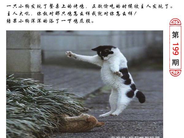2024199期澳门生活幽默