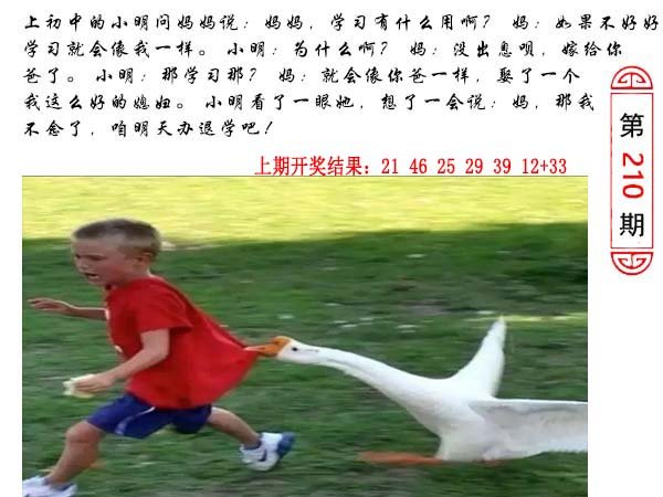 2024210期澳门生活幽默
