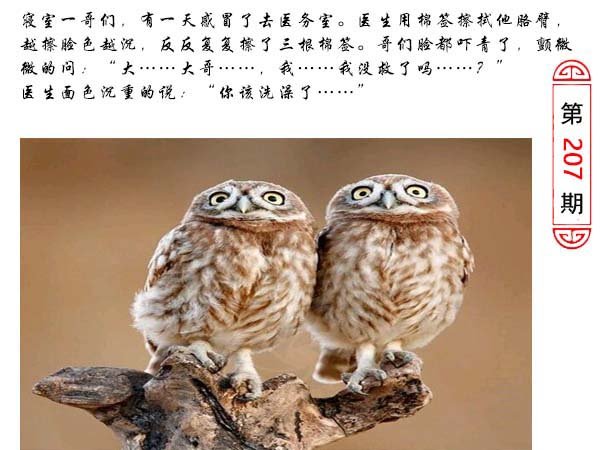 2024207期澳门生活幽默