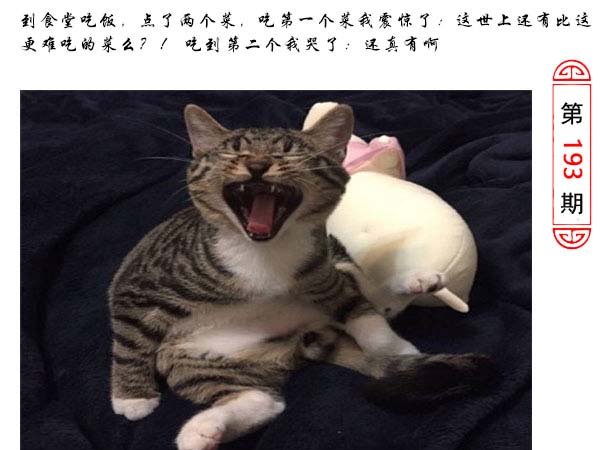 2024193期澳门生活幽默