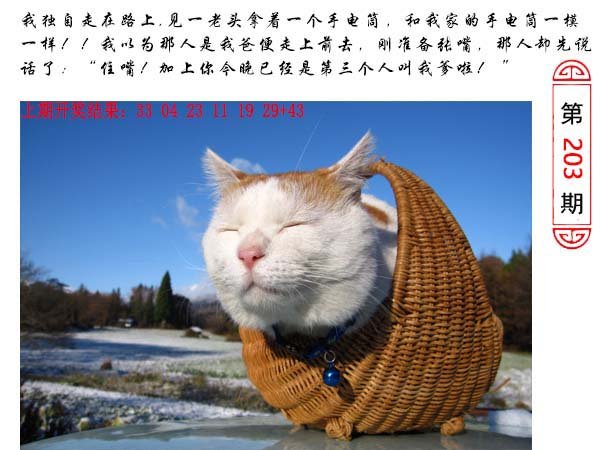 2024203期澳门生活幽默