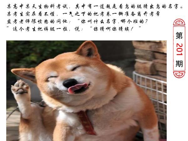 2024201期澳门生活幽默