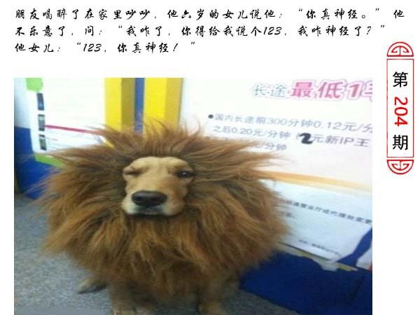 2024204期澳门生活幽默