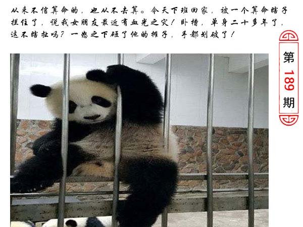 2024189期澳门生活幽默