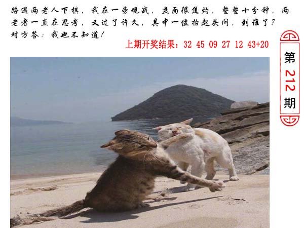 2024212期澳门生活幽默