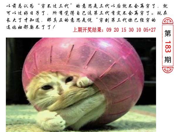 2024183期澳门生活幽默