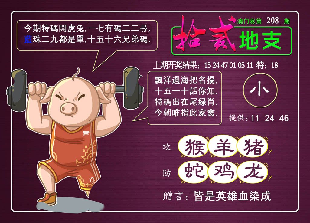 2024208期十二地支