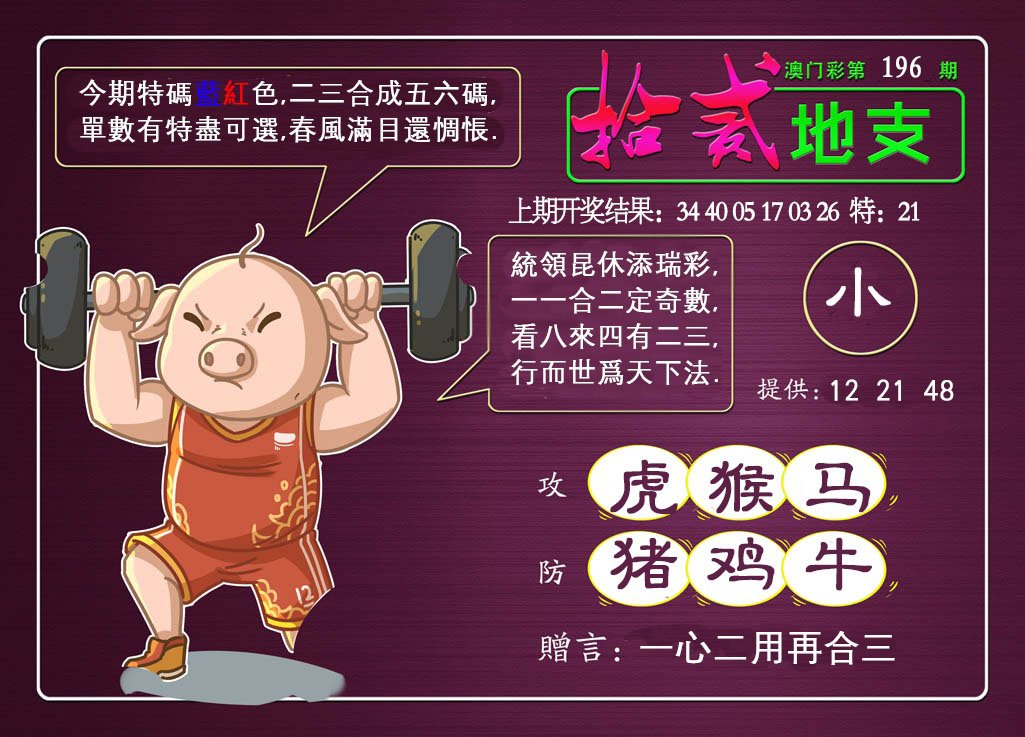 2024196期十二地支