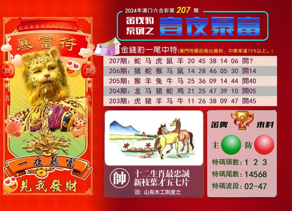 2024207期一夜暴富