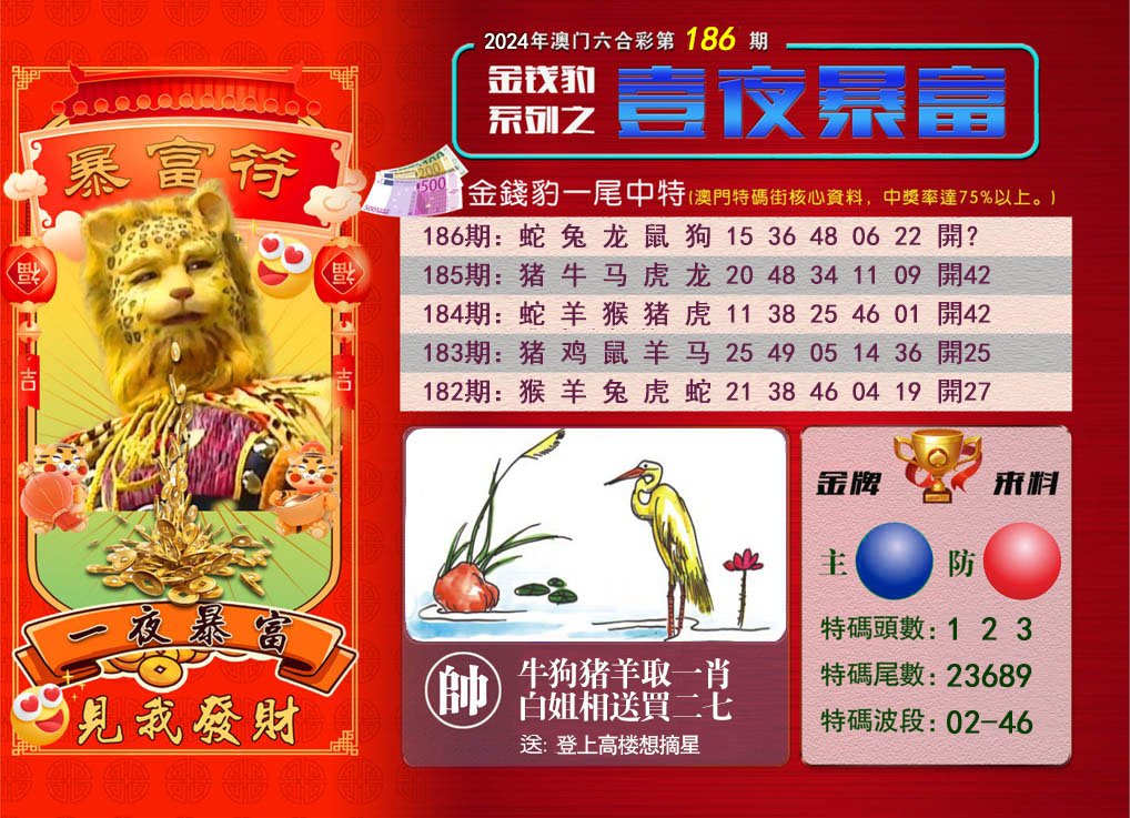 2024186期一夜暴富