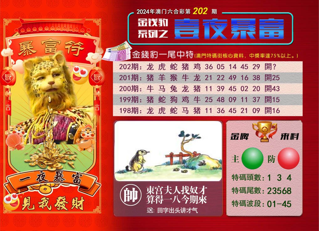 2024202期一夜暴富