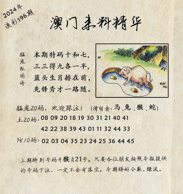 2024196期澳门来料精华