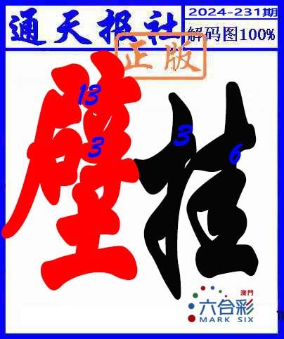 2024231期解码图