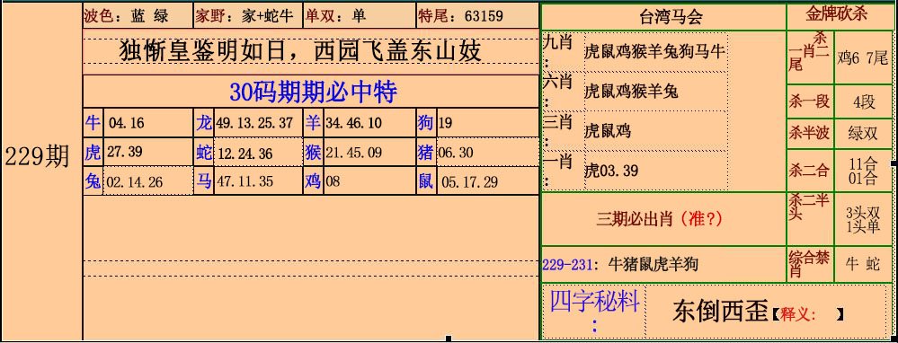 2024229期30码中特