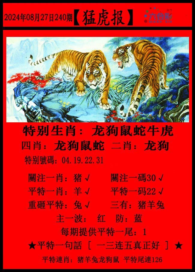2024240期猛虎报