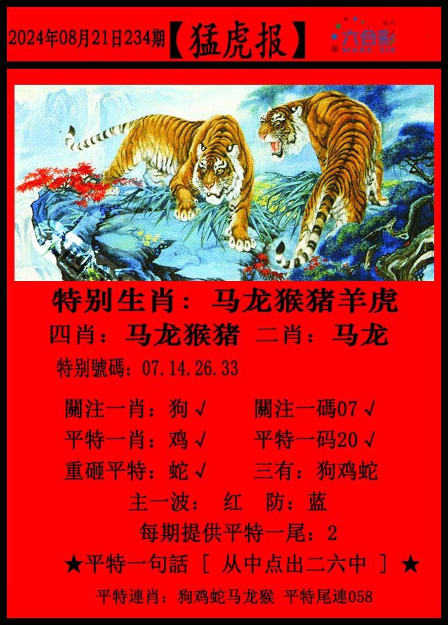 2024234期猛虎报