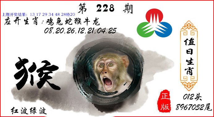 2024228期值日生肖