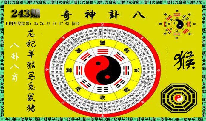 2024243期神奇八卦