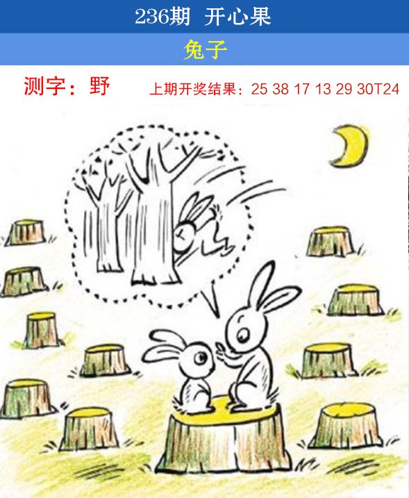 2024236期开心果