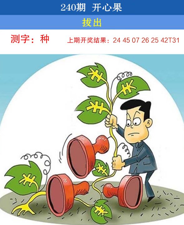 2024240期开心果