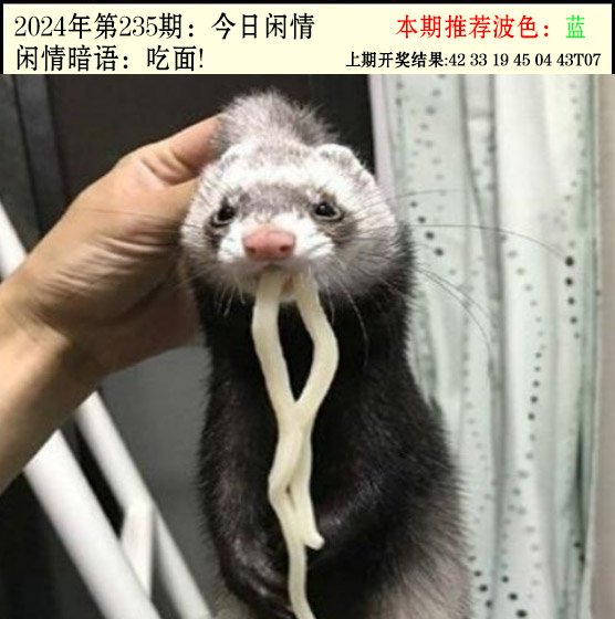 2024235期今日闲情2