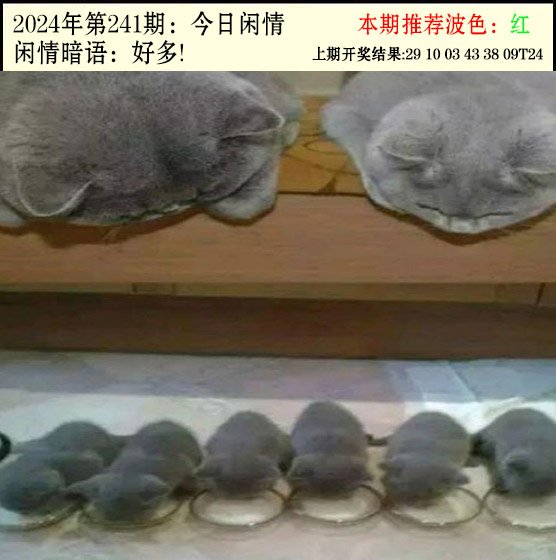 2024241期今日闲情2