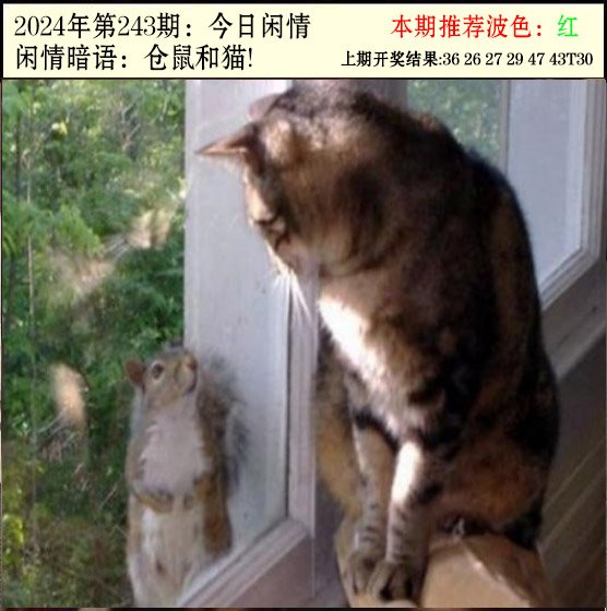 2024243期今日闲情2