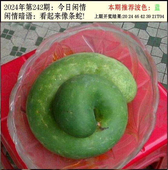 2024242期今日闲情2
