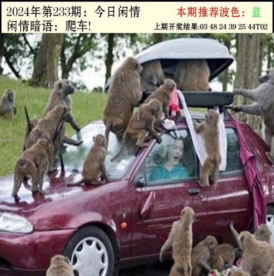 2024233期今日闲情2