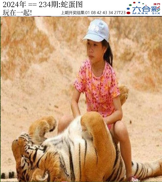 2024234期正版蛇蛋图