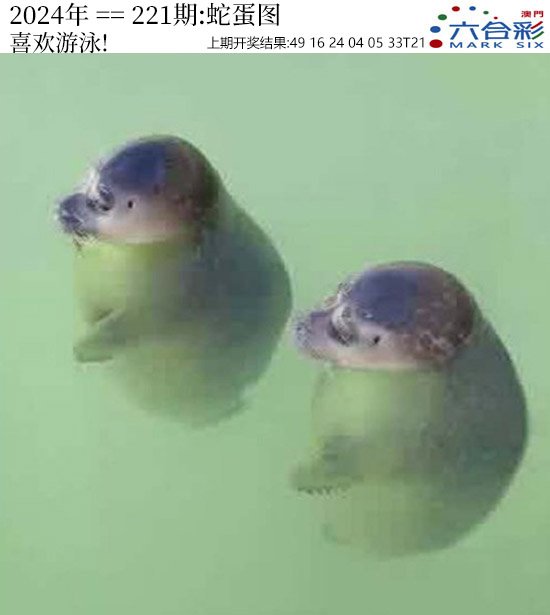 2024221期正版蛇蛋图