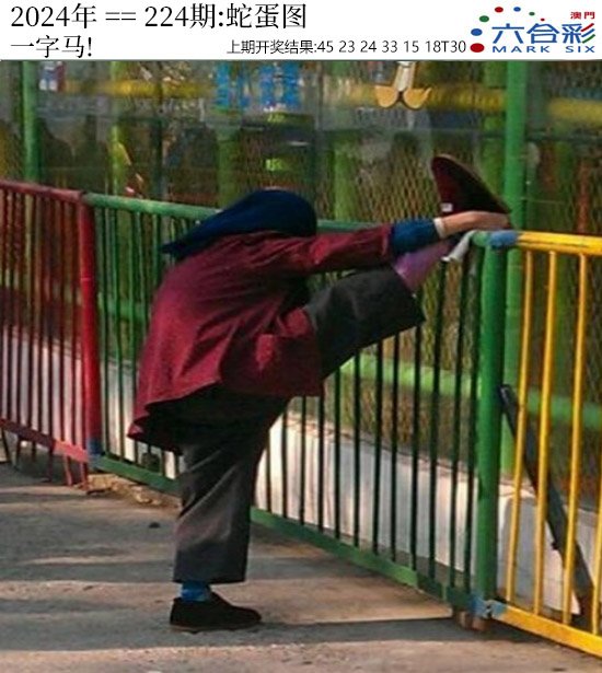 2024224期正版蛇蛋图