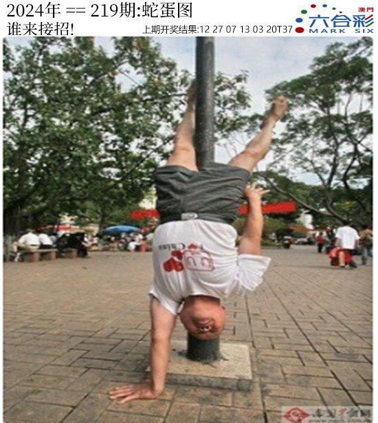 2024219期正版蛇蛋图