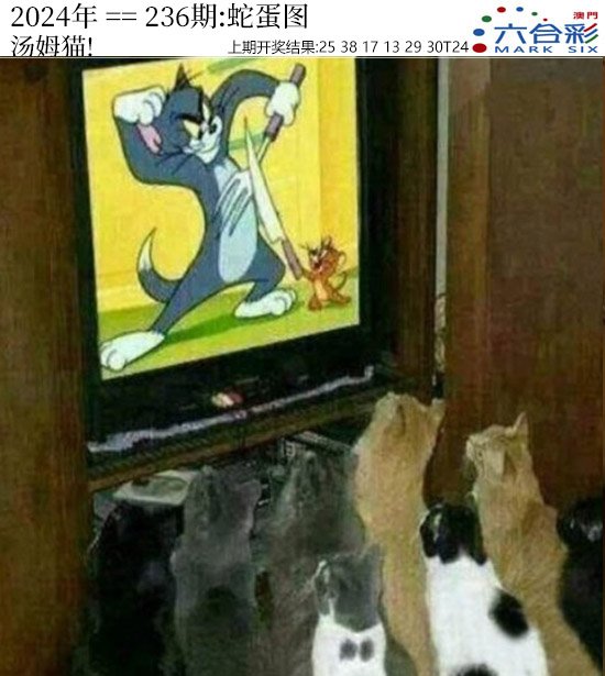 2024236期正版蛇蛋图