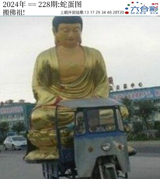 2024228期正版蛇蛋图