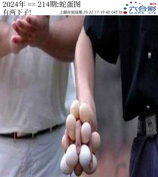 2024214期正版蛇蛋图